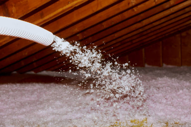 Best Insulation Maintenance and Repair in Oak Ridge, FL