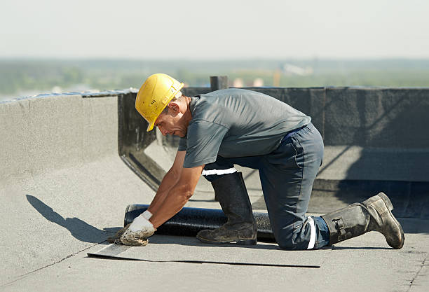 Best Specialty Insulation in Oak Ridge, FL